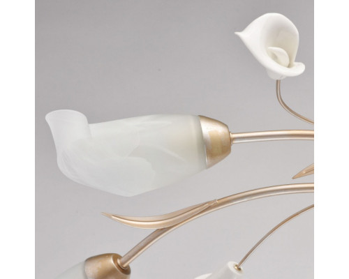 Купить Накладная люстра MW-Light 242016306| VIVID-LIGHT.RU