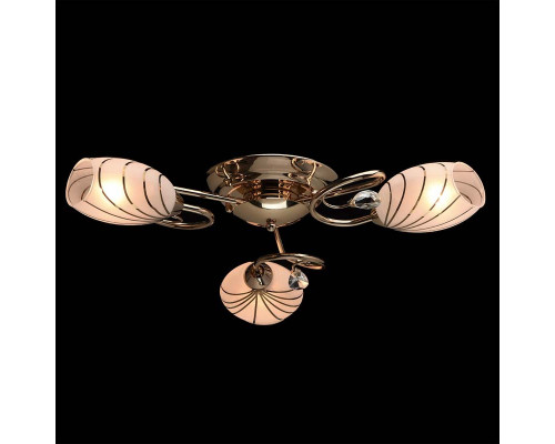 Сделать заказ Накладная люстра MW-Light 267012803| VIVID-LIGHT.RU