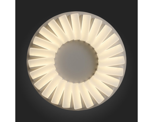 Купить Накладная люстра ST-Luce SL837.502.24| VIVID-LIGHT.RU