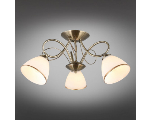 Оформить заказ Накладная люстра Omnilux OML-25307-03| VIVID-LIGHT.RU