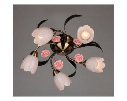 Сделать заказ Накладная люстра OML-38507-05 Omnilux| VIVID-LIGHT.RU