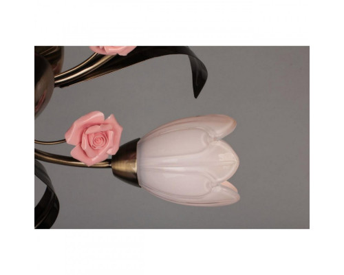 Сделать заказ Накладная люстра OML-38507-05 Omnilux| VIVID-LIGHT.RU