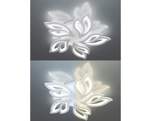 Заказать Накладная люстра Natali Kovaltseva LED LAMPS 81216| VIVID-LIGHT.RU