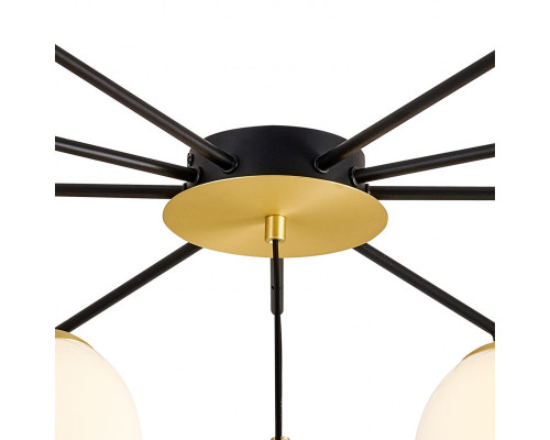 Оформить заказ Накладная люстра Favourite 3047-10P| VIVID-LIGHT.RU