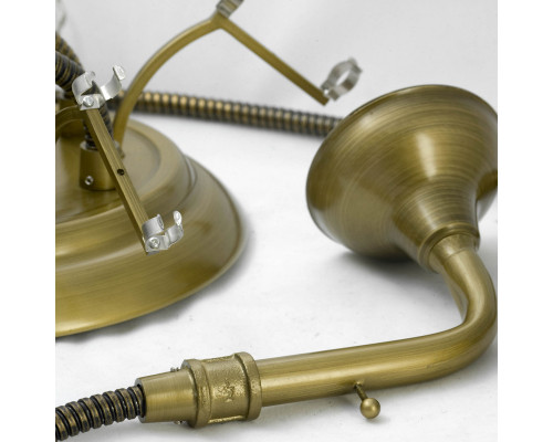 Оформить заказ Накладная люстра LOFT LSP-9755| VIVID-LIGHT.RU