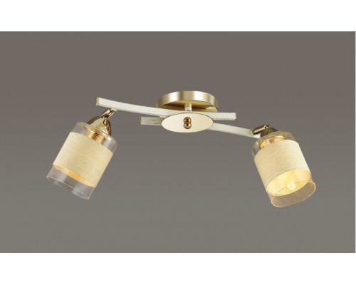 Купить Накладная люстра LUMION 3029/2CA| VIVID-LIGHT.RU