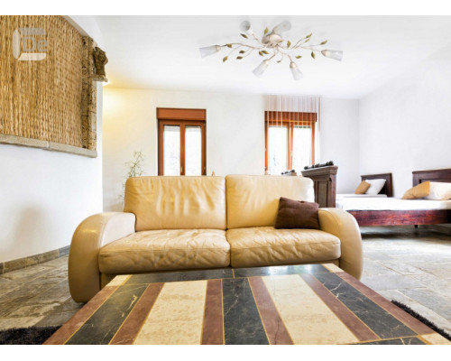 Заказать Накладная люстра MW-Light 242015306| VIVID-LIGHT.RU