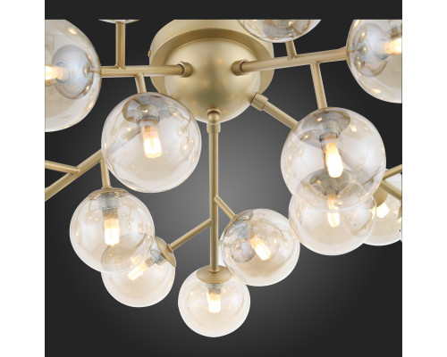 Оформить заказ Накладная люстра ST-Luce SL438.202.20| VIVID-LIGHT.RU