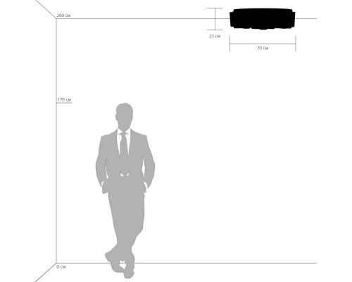 Купить Накладная люстра Lightstar 802095| VIVID-LIGHT.RU