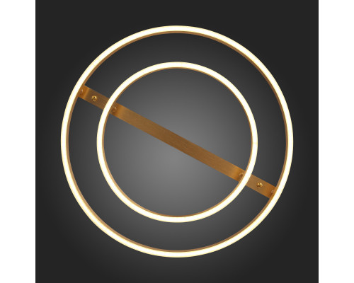 Сделать заказ Накладная люстра ST-Luce SL944.202.02| VIVID-LIGHT.RU