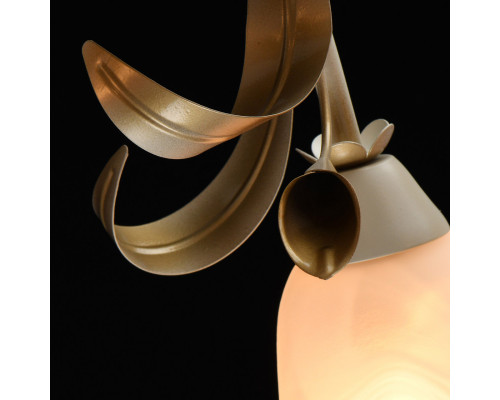 Заказать Накладная люстра MW-Light 242017508| VIVID-LIGHT.RU