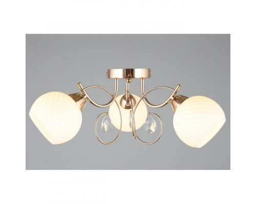 Оформить заказ Накладная люстра Omnilux OML-25207-03| VIVID-LIGHT.RU