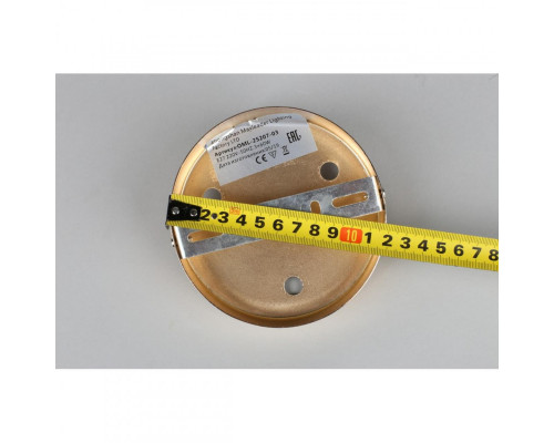 Оформить заказ Накладная люстра Omnilux OML-25207-03| VIVID-LIGHT.RU