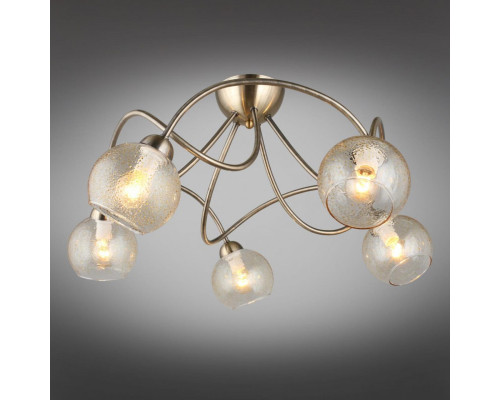 Купить Накладная люстра Omnilux OML-57007-05| VIVID-LIGHT.RU