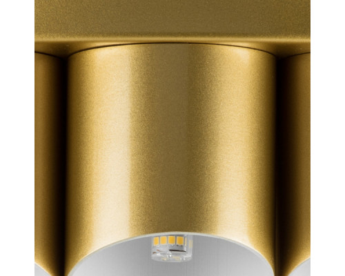 Заказать Накладная люстра Lightstar 720402| VIVID-LIGHT.RU