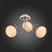 Купить Накладная люстра ST-Luce SL717.552.03| VIVID-LIGHT.RU