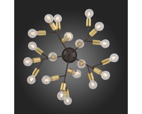 Купить Накладная люстра ST-Luce SL437.402.20| VIVID-LIGHT.RU