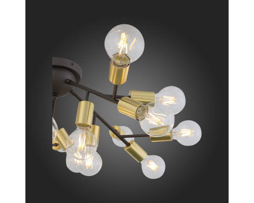 Купить Накладная люстра ST-Luce SL437.402.20| VIVID-LIGHT.RU