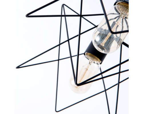 Заказать Накладная люстра ARTE Lamp A6048PL-5BK| VIVID-LIGHT.RU