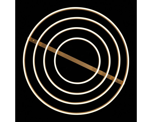 Сделать заказ Накладная люстра ST-Luce SL944.202.04| VIVID-LIGHT.RU