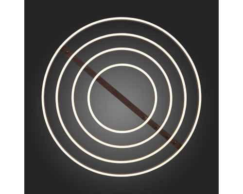 Сделать заказ Накладная люстра ST-Luce SL944.202.04| VIVID-LIGHT.RU