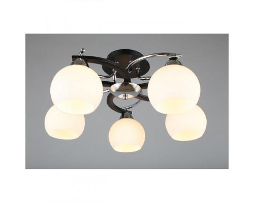 Заказать Накладная люстра Omnilux OML-25407-05| VIVID-LIGHT.RU