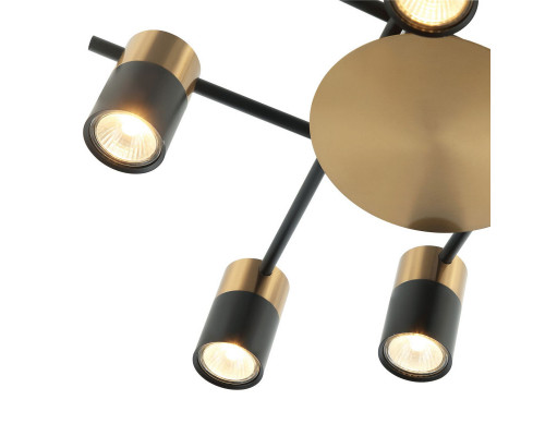 Оформить заказ Накладная люстра Favourite 2825-8P| VIVID-LIGHT.RU