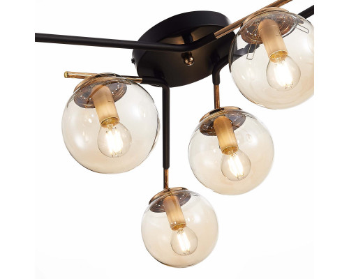 Купить Накладная люстра Evoluce SLE106902-06| VIVID-LIGHT.RU