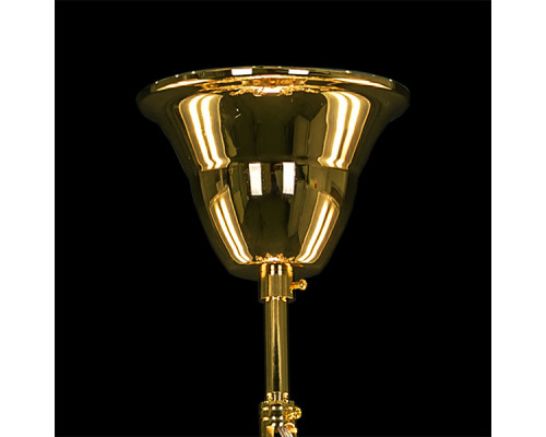 Оформить заказ Подвесная люстра Lightstar 710152| VIVID-LIGHT.RU