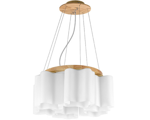 Сделать заказ Подвесная люстра Lightstar 802165| VIVID-LIGHT.RU