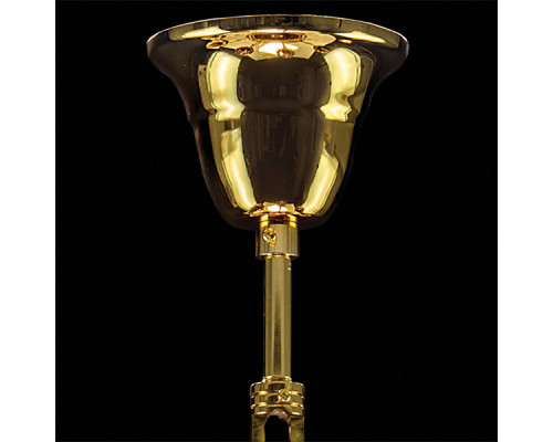 Сделать заказ Подвесная люстра Lightstar 695062| VIVID-LIGHT.RU