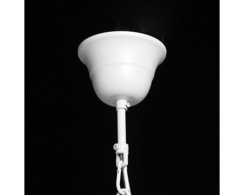 Сделать заказ Подвесная люстра MW-Light 249019001| VIVID-LIGHT.RU