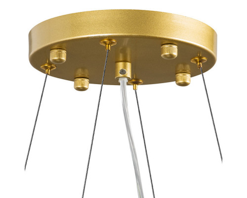 Оформить заказ Подвесная люстра Lightstar 816102| VIVID-LIGHT.RU