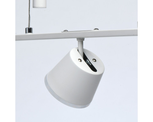 Заказать Подвесная люстра DeMarkt 632016505| VIVID-LIGHT.RU