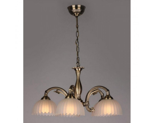 Заказать Подвесная люстра OML-31103-05 Omnilux| VIVID-LIGHT.RU