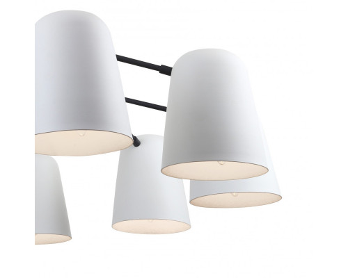 Сделать заказ Подвесная люстра F-Promo 2762-10P| VIVID-LIGHT.RU