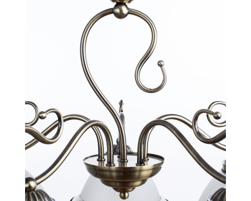 Купить Подвесная люстра ARTE Lamp A6276LM-5AB| VIVID-LIGHT.RU