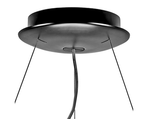 Сделать заказ Подвесная люстра Lightstar 812236| VIVID-LIGHT.RU