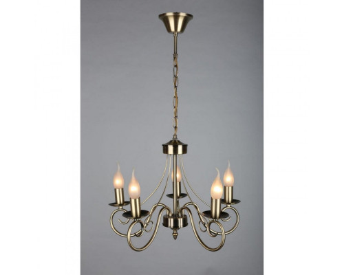 Сделать заказ Подвесная люстра OML-35523-05 Omnilux| VIVID-LIGHT.RU