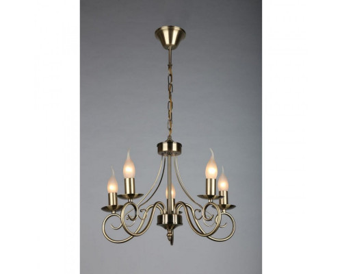 Сделать заказ Подвесная люстра OML-35523-05 Omnilux| VIVID-LIGHT.RU