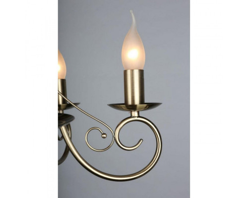 Сделать заказ Подвесная люстра OML-35523-05 Omnilux| VIVID-LIGHT.RU