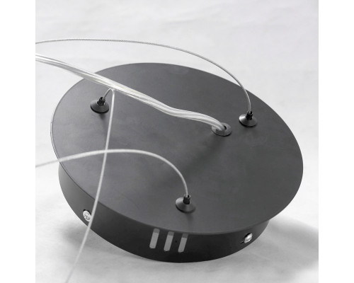 Заказать Подвесная люстра LOFT LSP-8391| VIVID-LIGHT.RU