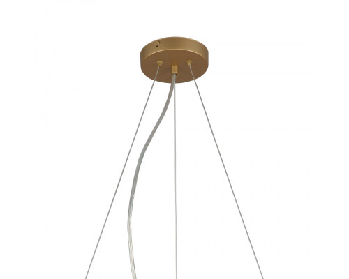 Заказать Подвесная люстра F-Promo 2911-5P| VIVID-LIGHT.RU