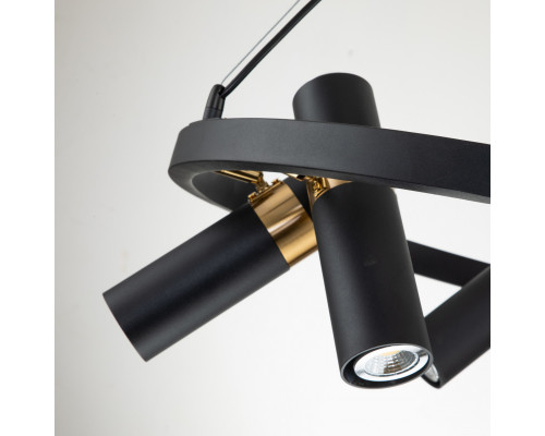 Заказать Подвесная люстра Favourite 2997-6P| VIVID-LIGHT.RU