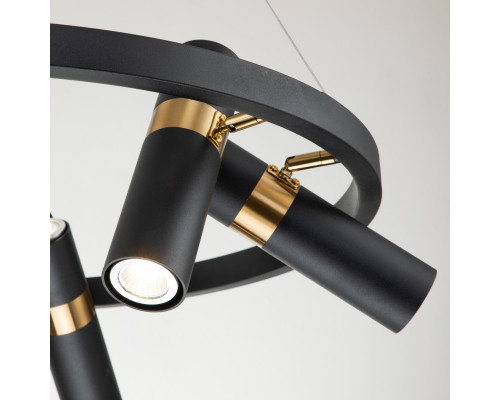 Заказать Подвесная люстра Favourite 2997-6P| VIVID-LIGHT.RU