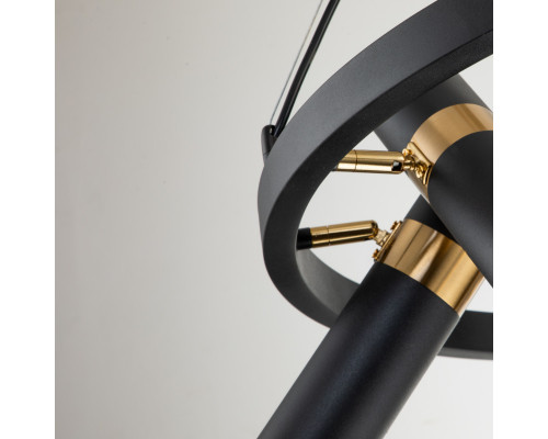 Заказать Подвесная люстра Favourite 2997-6P| VIVID-LIGHT.RU