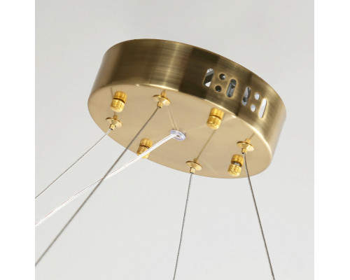 Заказать Подвесная люстра Favourite 4012-10P| VIVID-LIGHT.RU