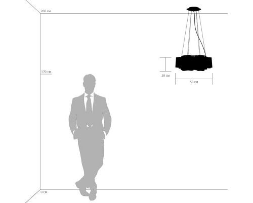 Купить Подвесная люстра Lightstar 802161| VIVID-LIGHT.RU