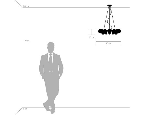 Купить Подвесная люстра Lightstar 801124| VIVID-LIGHT.RU