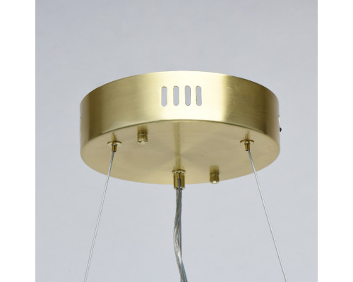 Заказать Подвесная люстра MW-Light 642014901| VIVID-LIGHT.RU